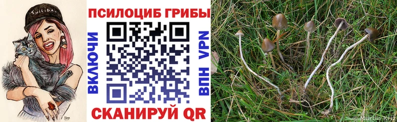 Псилоцибиновые грибы прущие грибы  Верхнеуральск 